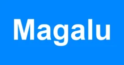 Empréstimo Magalu