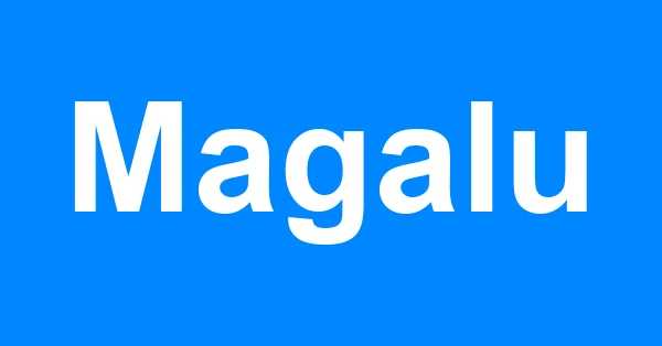 Empréstimo Magalu